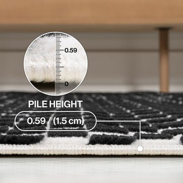 Finn High-Low Modern Minimalist Checkered Monotone Indoor/Outdoor Area Rug